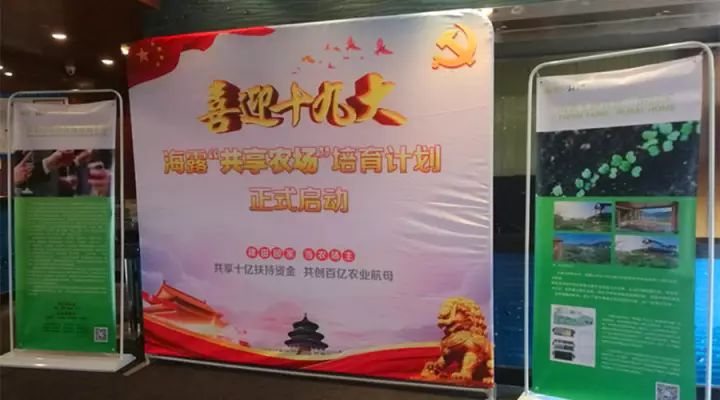 2121�Ƿ���(�й���)�����ٷ���վ