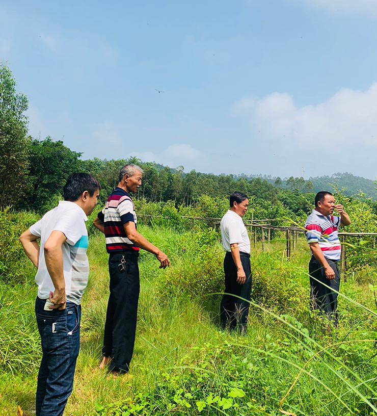 2121�Ƿ���(�й���)�����ٷ���վ