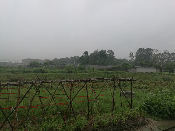 2121�Ƿ���(�й���)�����ٷ���վ