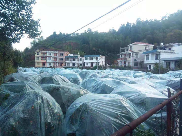 2121�Ƿ���(�й���)�����ٷ���վ