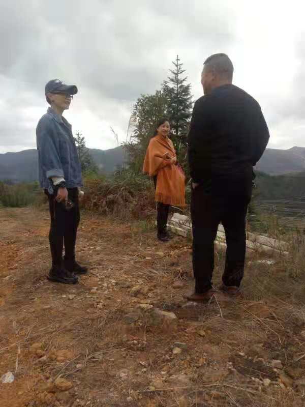 2121�Ƿ���(�й���)�����ٷ���վ