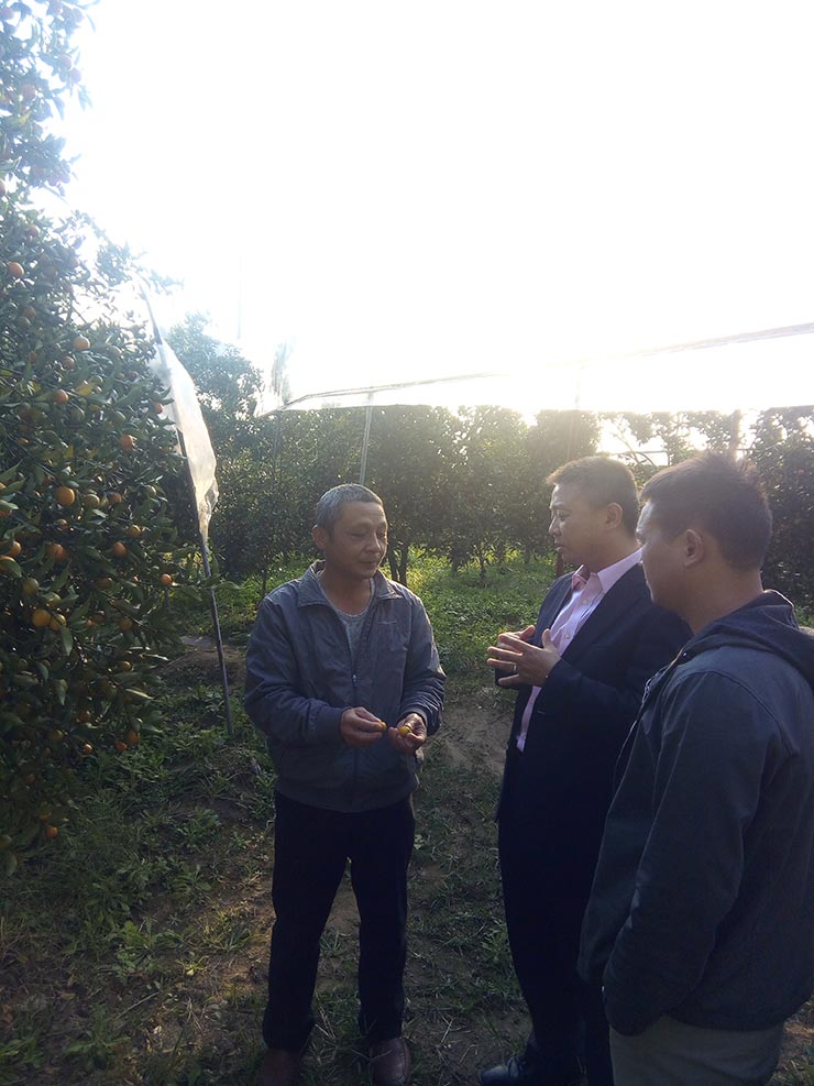 2121�Ƿ���(�й���)�����ٷ���վ