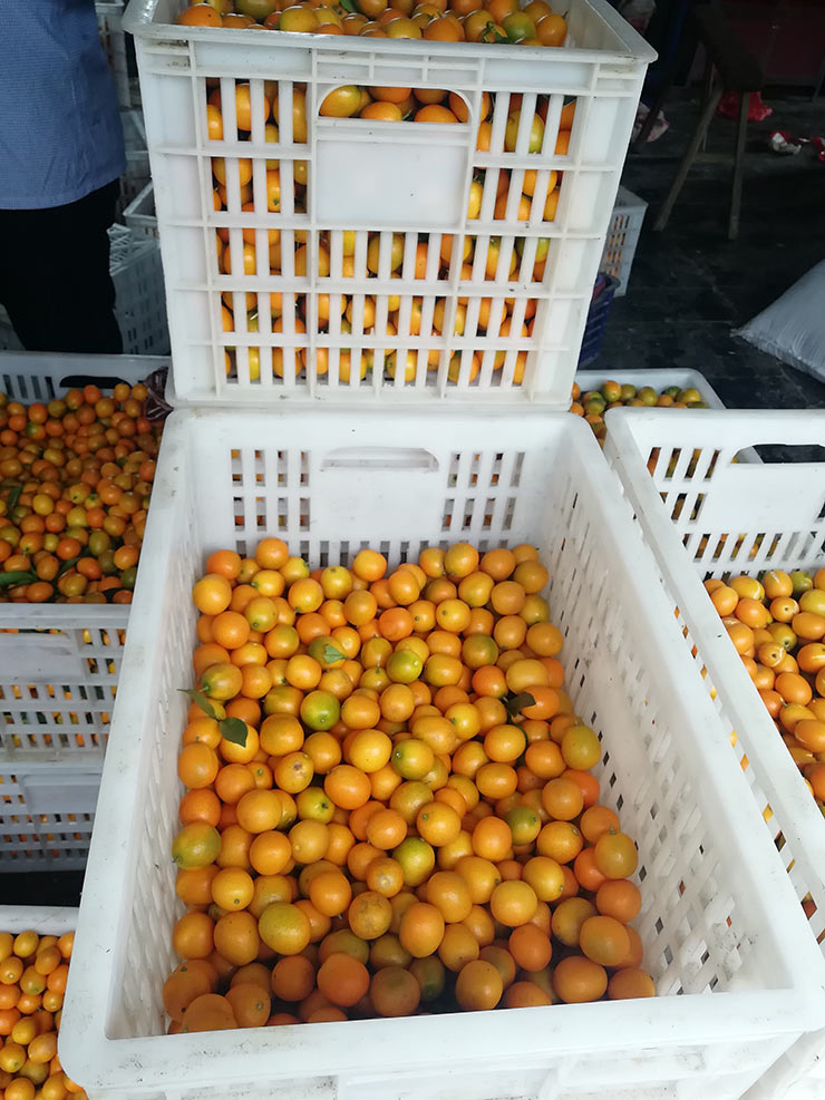 2121�Ƿ���(�й���)�����ٷ���վ