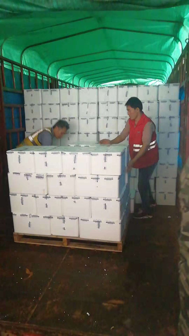 2121�Ƿ���(�й���)�����ٷ���վ