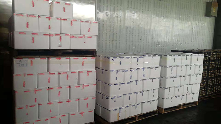 2121�Ƿ���(�й���)�����ٷ���վ