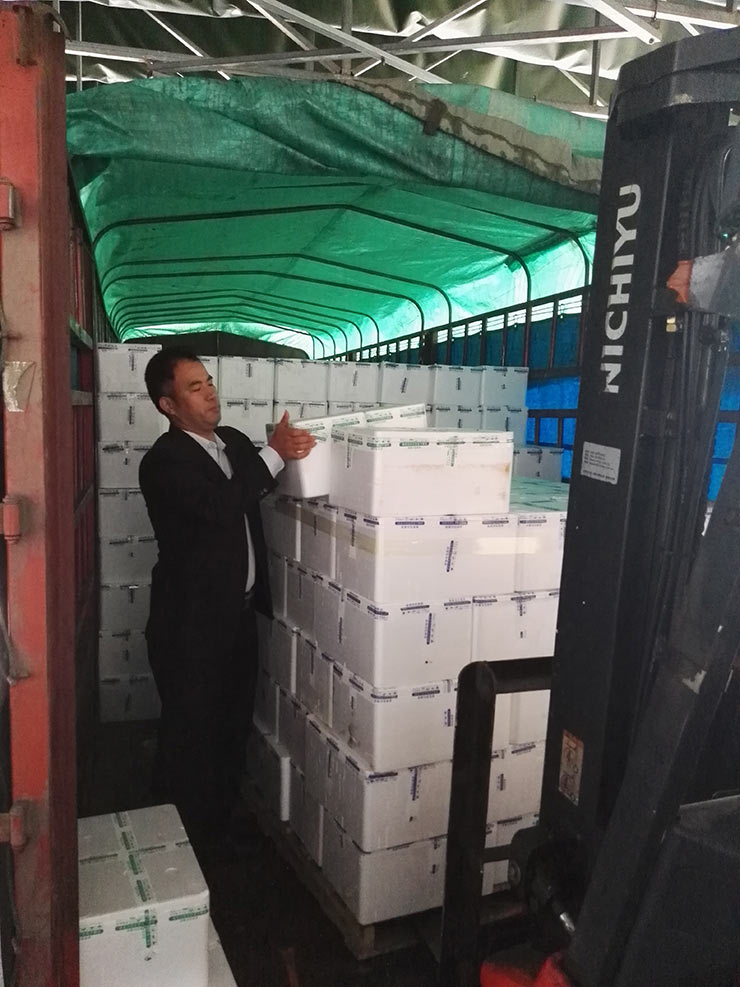 2121�Ƿ���(�й���)�����ٷ���վ