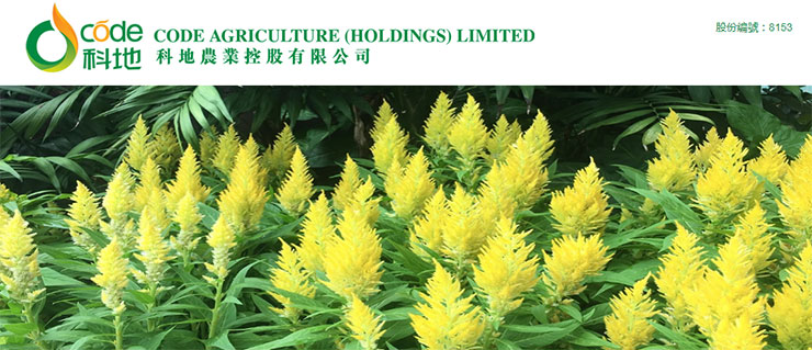 2121�Ƿ���(�й���)�����ٷ���վ