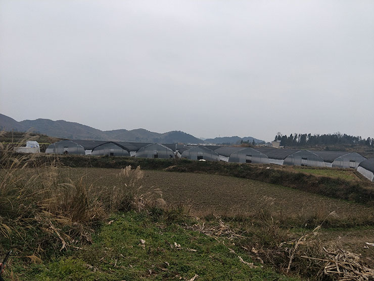 2121�Ƿ���(�й���)�����ٷ���վ