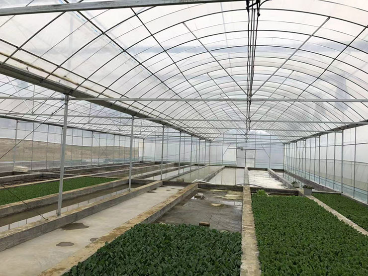 2121�Ƿ���(�й���)�����ٷ���վ