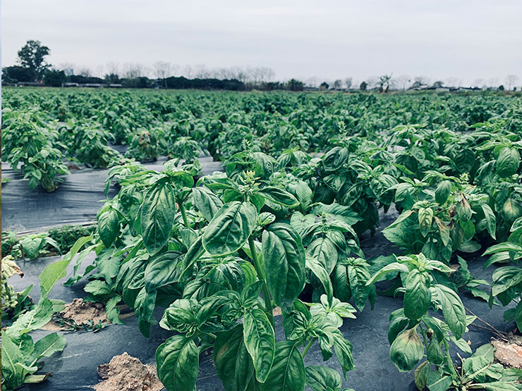 2121�Ƿ���(�й���)�����ٷ���վ