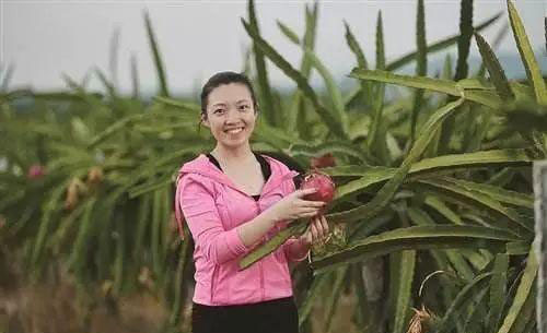 2121�Ƿ���(�й���)�����ٷ���վ