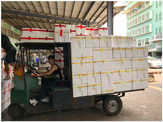 2121�Ƿ���(�й���)�����ٷ���վ