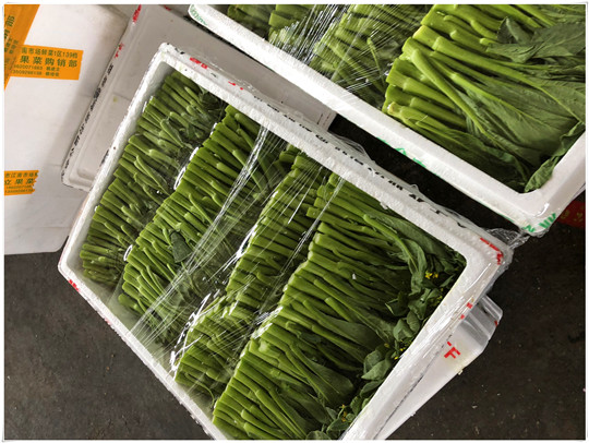 2121�Ƿ���(�й���)�����ٷ���վ