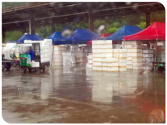 2121�Ƿ���(�й���)�����ٷ���վ