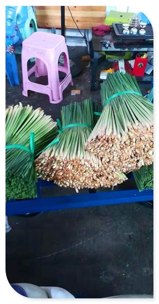 2121�Ƿ���(�й���)�����ٷ���վ