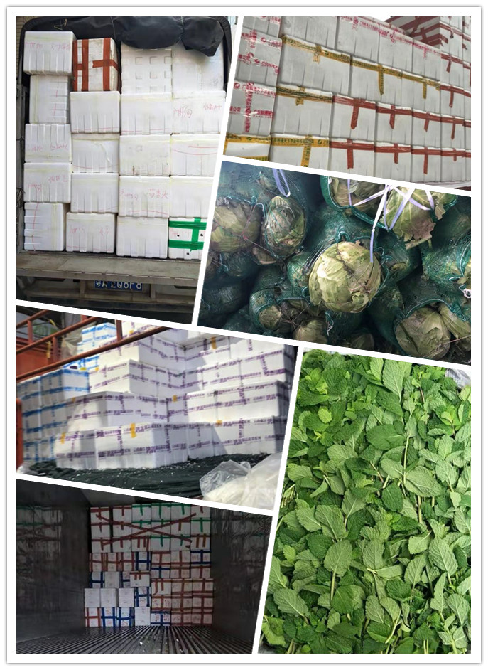 2121�Ƿ���(�й���)�����ٷ���վ