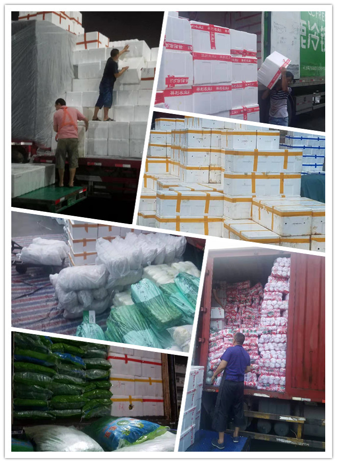 2121�Ƿ���(�й���)�����ٷ���վ