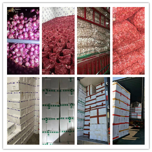 2121�Ƿ���(�й���)�����ٷ���վ