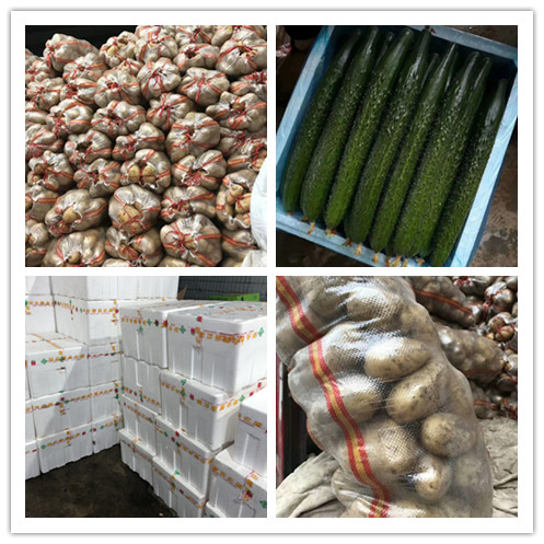 2121�Ƿ���(�й���)�����ٷ���վ