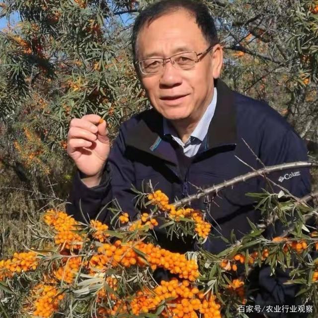 2121�Ƿ���(�й���)�����ٷ���վ