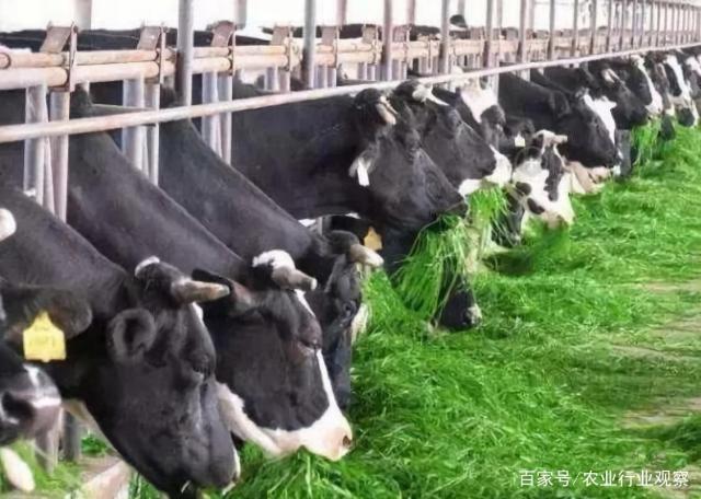 2121�Ƿ���(�й���)�����ٷ���վ