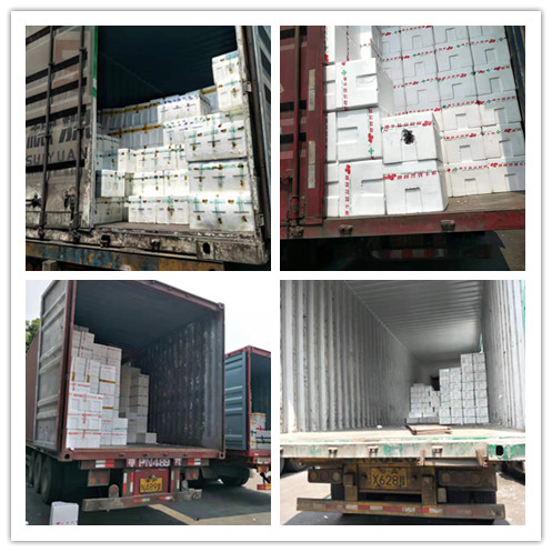 2121�Ƿ���(�й���)�����ٷ���վ