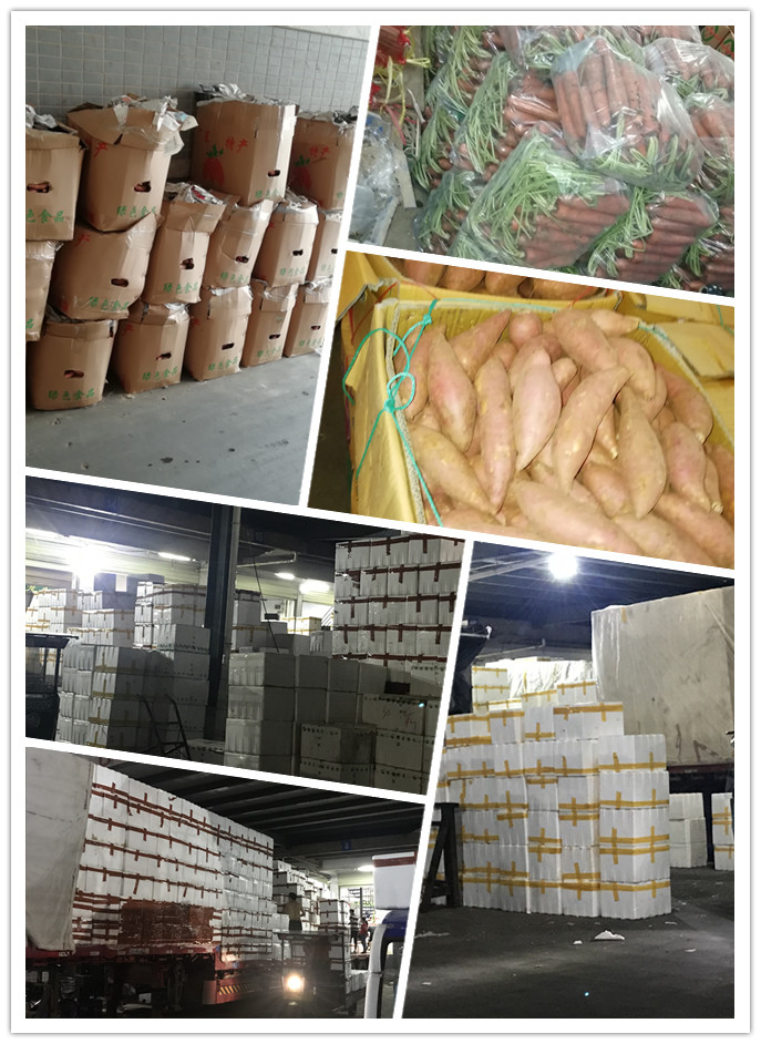 2121�Ƿ���(�й���)�����ٷ���վ