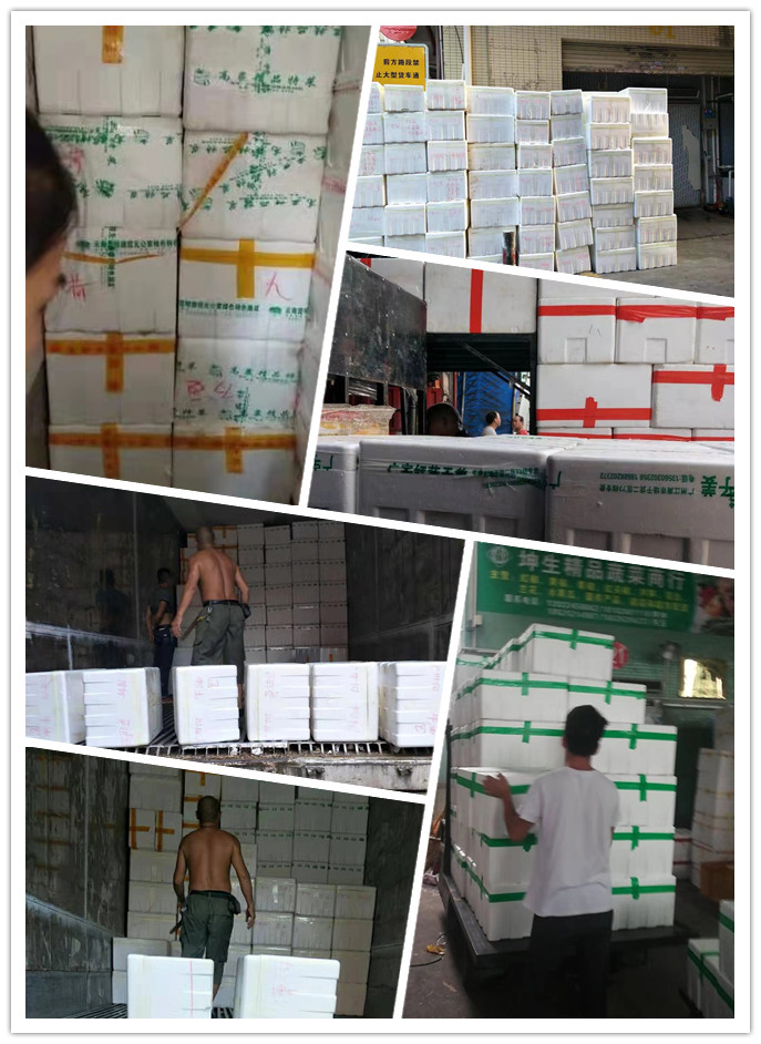 2121�Ƿ���(�й���)�����ٷ���վ