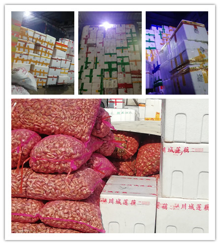 2121�Ƿ���(�й���)�����ٷ���վ