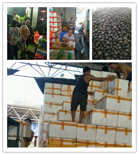 2121�Ƿ���(�й���)�����ٷ���վ