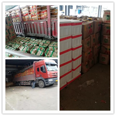 2121�Ƿ���(�й���)�����ٷ���վ