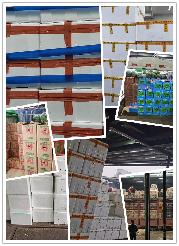 2121�Ƿ���(�й���)�����ٷ���վ