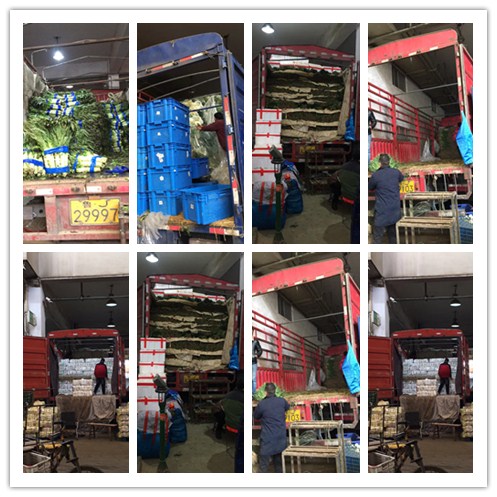 2121�Ƿ���(�й���)�����ٷ���վ