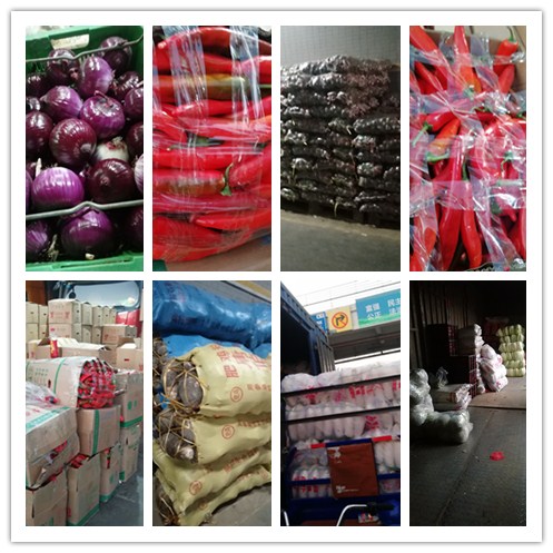 2121�Ƿ���(�й���)�����ٷ���վ