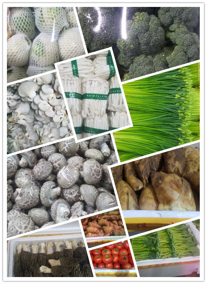 2121�Ƿ���(�й���)�����ٷ���վ