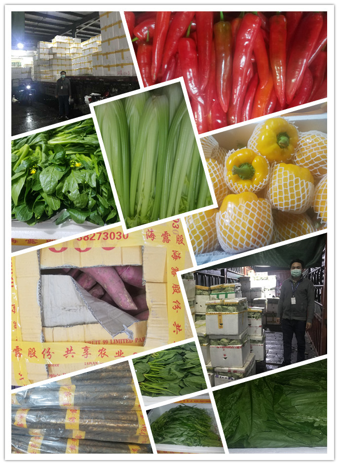 2121�Ƿ���(�й���)�����ٷ���վ