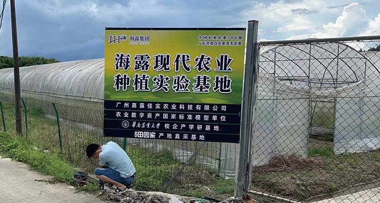 2121�Ƿ���(�й���)�����ٷ���վ