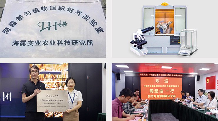 2121�Ƿ���(�й���)�����ٷ���վ