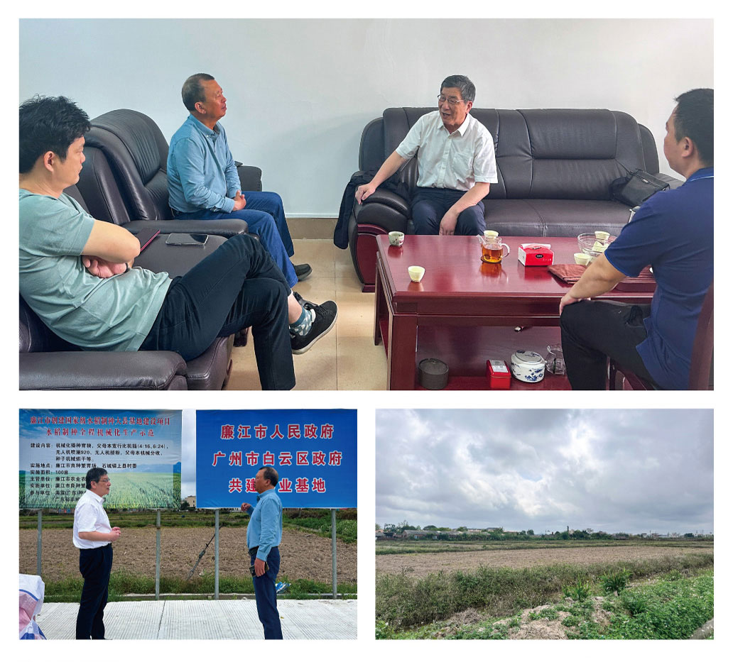 2121�Ƿ���(�й���)�����ٷ���վ